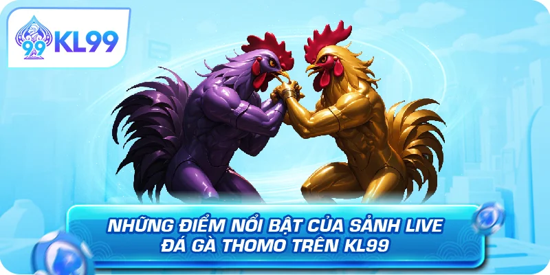 Những điểm nổi bật của sảnh live đá gà Thomo trên KL99
